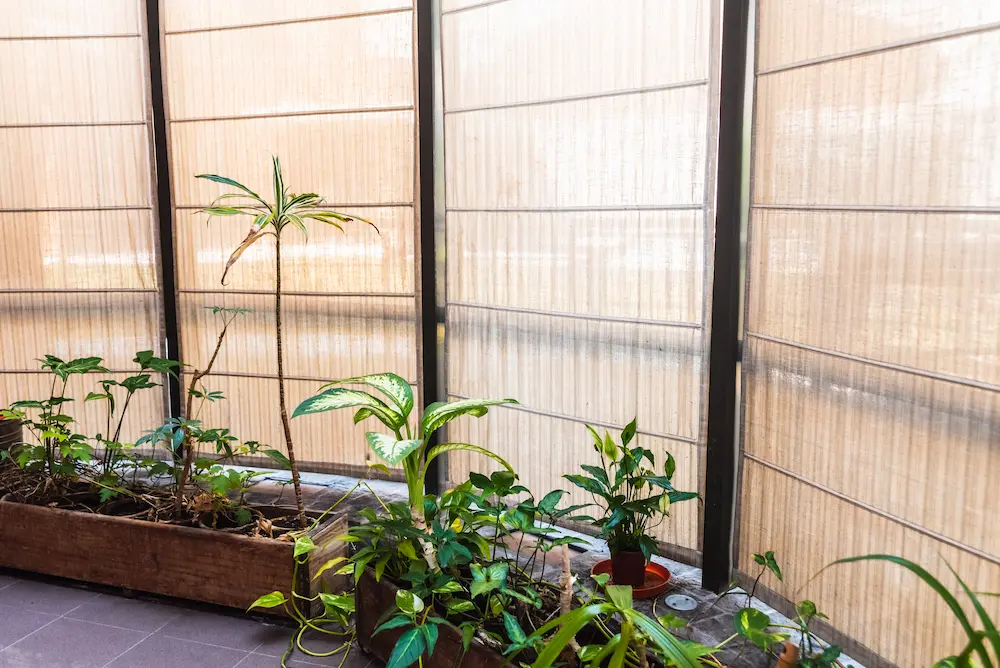 biombos-en-terraza-con-plantas biombos terraza